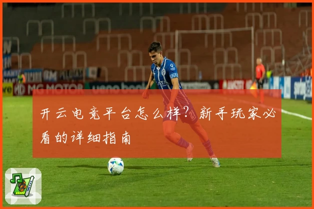开云电竞平台怎么样？新手玩家必看的详细指南