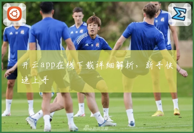 开云app在线下载详细解析，新手快速上手