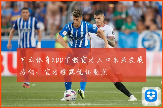 开云体育app下载官方入口未来发展方向，官方透露优化重点