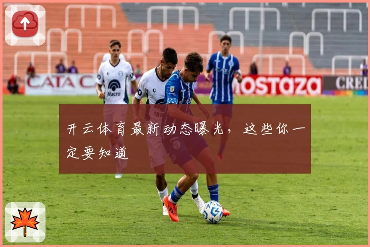 开云体育最新动态曝光,这些你一定要知道