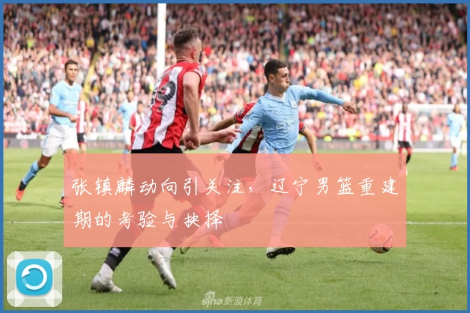 张镇麟动向引关注,辽宁男篮重建期的考验与抉择