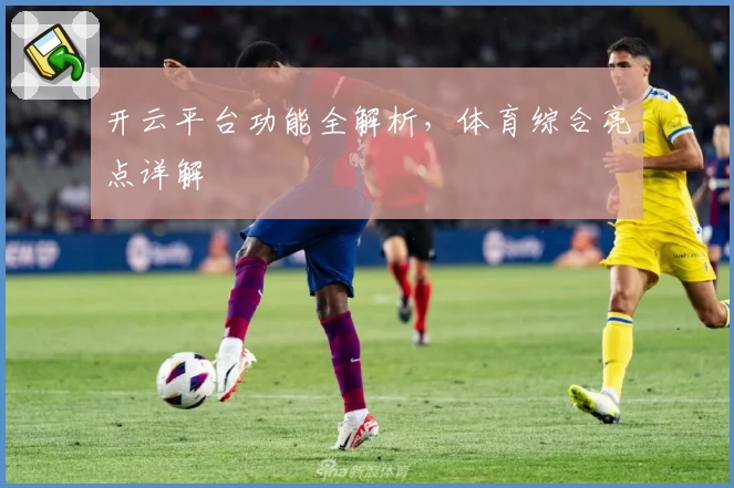 开云平台功能全解析，体育综合亮点详解
